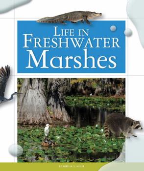 Library Binding Life in Freshwater Marshes Book