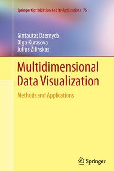 Paperback Multidimensional Data Visualization: Methods and Applications Book