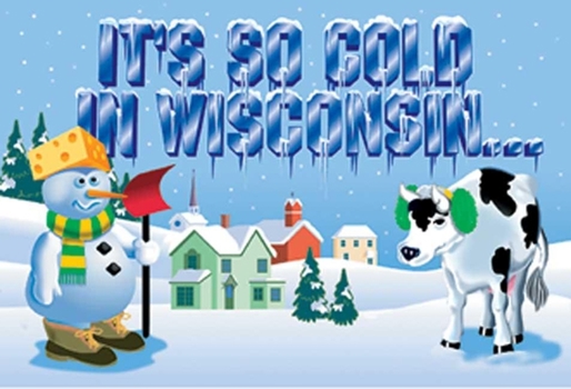 Paperback It's So Cold in Wisconsin Book