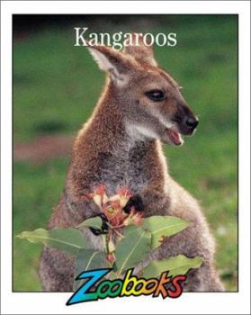 Hardcover Kangaroos Book