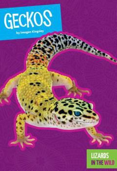 Geckos - Book  of the Lizards in the Wild