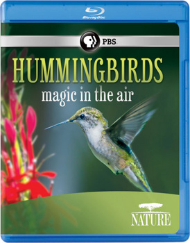 Blu-ray Nature: Hummingbirds - Magic in the Air Book