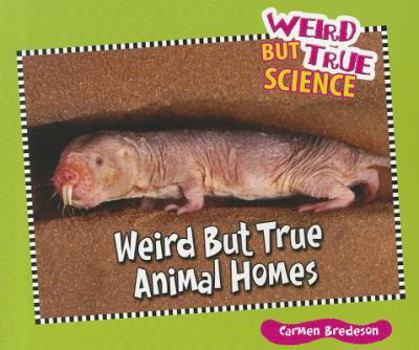 Paperback Weird But True Animal Homes Book