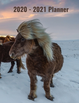 Paperback 2020-2021 Planner: With A Monthly Calendar To Write On, Icelandic Horses Book