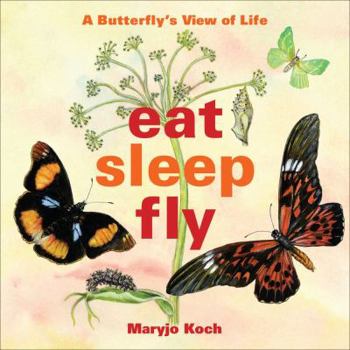 Hardcover Eat, Sleep, Fly: A Butterfly's View of Life Book