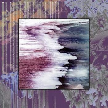 Vinyl We Came Here To Grieve Book