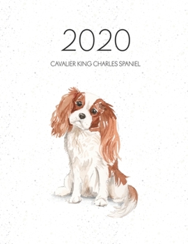 Paperback 2020 Cavalier King Charles Spaniel: Dated Weekly Planner With To Do Notes & Dog Quotes - Cavalier King Charles Spaniel Book