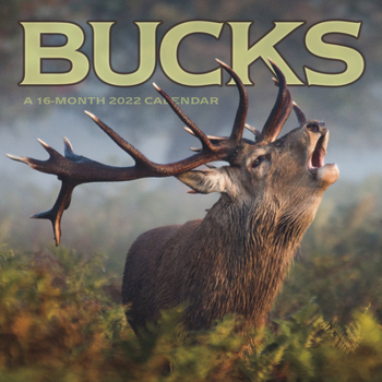 Calendar 2022 Bucks Wall Book