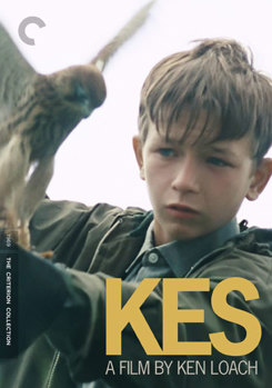 DVD Kes Book