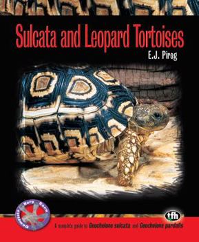 Paperback Sulcata and Leopard Tortoises Book