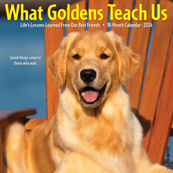 Calendar What Goldens Teach Us 2024 12 X 12 Wall Calendar Book