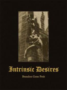 Paperback Intrinsic Desires Book