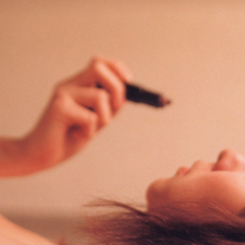 Vinyl Oxeneers Or The Lion Sleeps When Its Ant Book