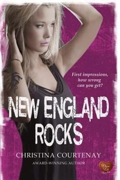 Paperback New England Rocks Book