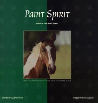 Paperback Paint Spirit Book