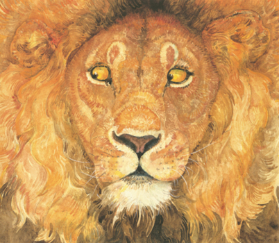 Library Binding Lion & the Mouse Book