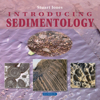 Paperback Introducing Sedimentology Book