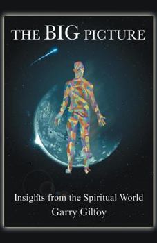 Paperback The Big Picture: Insights from the Spiritual World Book