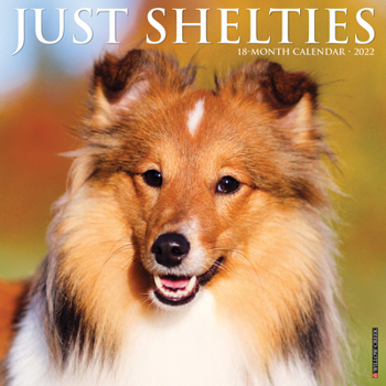 Calendar Just Shelties 2022 Wall Calendar (Dog Breed) Book