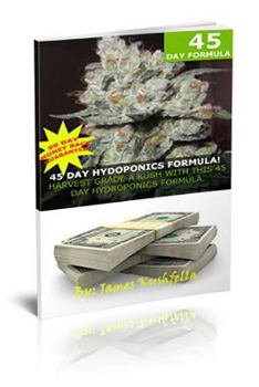 Paperback 45 Day Hydroponic Formula Book