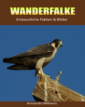 Paperback Wanderfalke: Erstaunliche Fakten & Bilder [German] Book