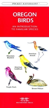 Paperback Butterflies & Moths: A Folding Pocket Guide to Familiar North American Species Book