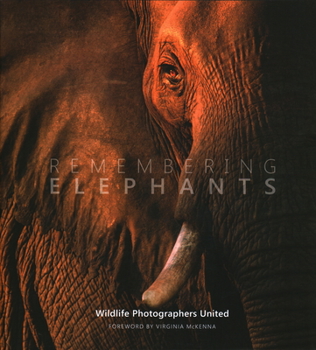 Hardcover Remembering Elephants Book