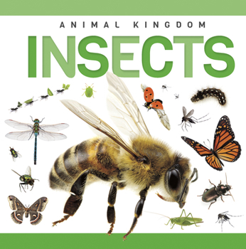 Library Binding Insects Book