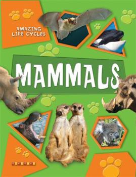 Paperback Mammals. by Honor Head Book