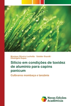 Paperback Silício em condições de toxidez de alumínio para capins panicum [Portuguese] Book