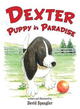 Hardcover Dexter, Puppy in Paradise Book