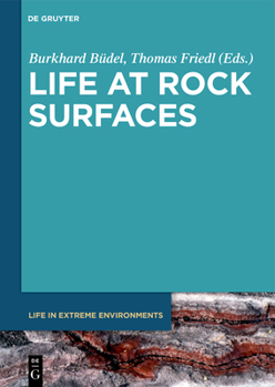 Hardcover Life at Rock Surfaces: Challenged by Extreme Light, Temperature and Hydration Fluctuations Book