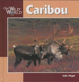 Hardcover Caribou (Our Wild World) Book
