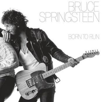 Vinyl Born To Run Book