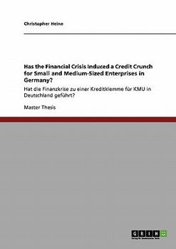 Has the Financial Crisis Induced a Credit Crunch for Small and Medium-Sized Enterprises in Germany?: Hat die Finanzkrise zu einer Kreditklemme für KMU in Deutschland geführt?