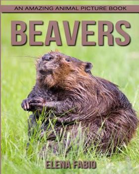 Children's Book: An Amazing Animal Picture Book about Beavers for Kids