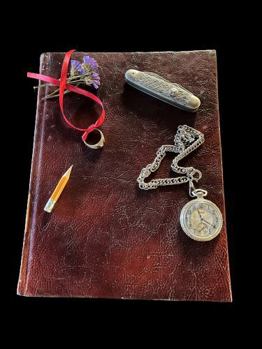 Paperback RED RIBBON JOURNAL: A Missionary's Journey Book