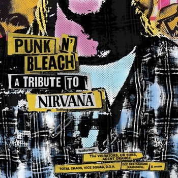 Vinyl Punk 'n' Bleach   Tribute To Nirvana   G Book