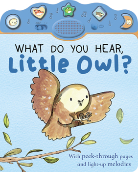 Board book What Do You Hear, Little Owl? Book