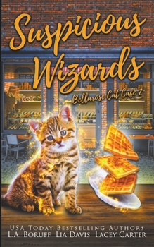 Paperback Suspicious Wizards Book