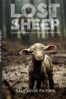 Paperback Lost Sheep Book