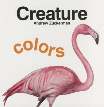 Board book Creature Colors Book