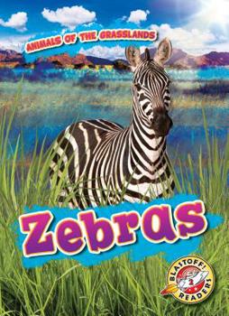 Zebras - Book  of the Scholastic: Blastoff!  Animals of the Grasslands