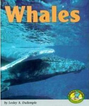 Hardcover Whales Book