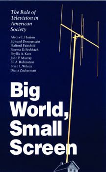 Paperback Big World, Small Screen: The Role of Television in American Society Book