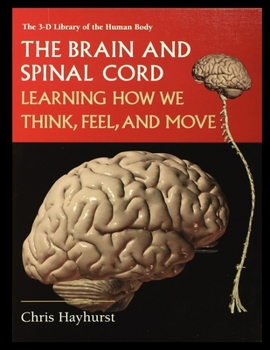 Paperback The Brain and Spinal Cord: Learning How We Think, Feel and Move Book