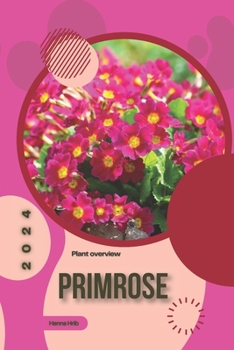 Primrose: Simply beginners guide