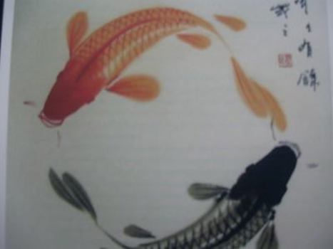 Paperback November Adrenaline 2 Book