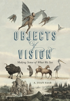 Paperback Objects of Vision: Making Sense of What We See Book