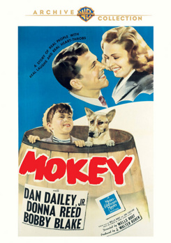 DVD Mokey Book